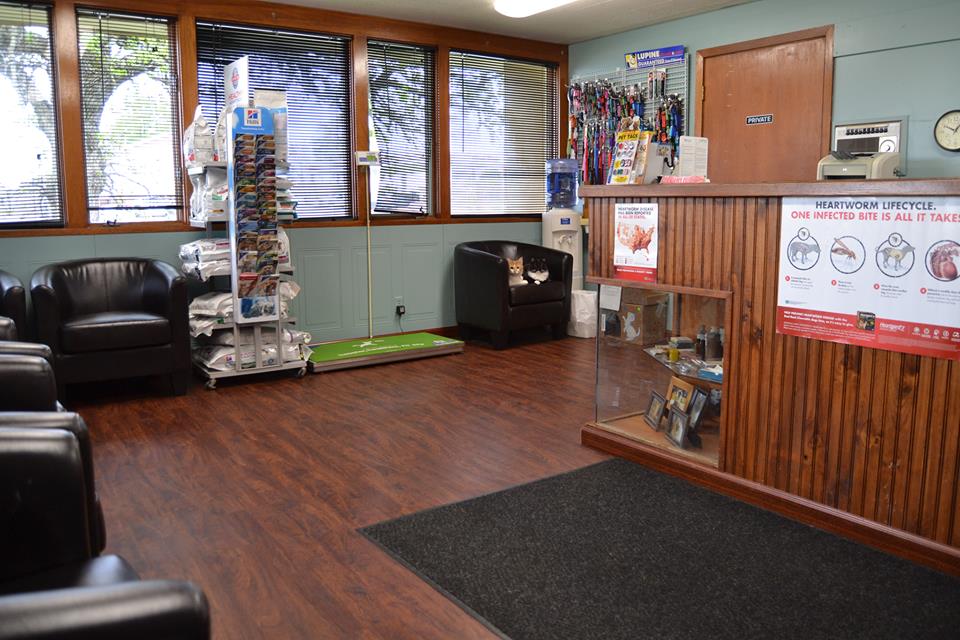 Albert Lea Veterinary Clinic Albert Lea, MN Our History